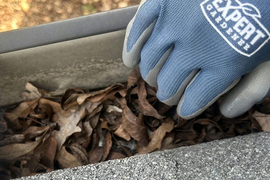 Gutter Cleaning Celina TX