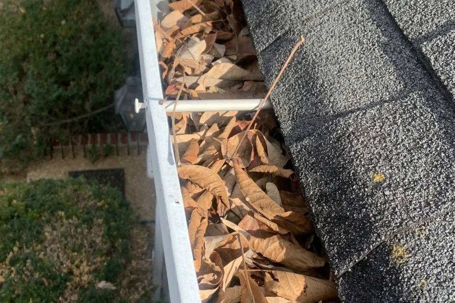 Gutter Cleaning Celina TX