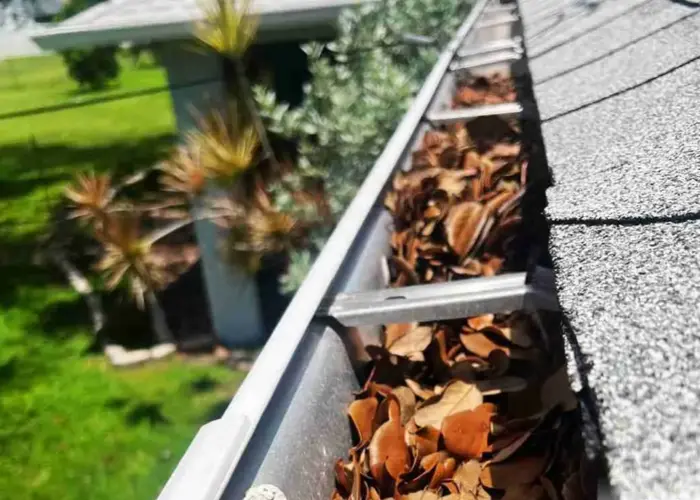 Gutter Cleaning Celina TX home page